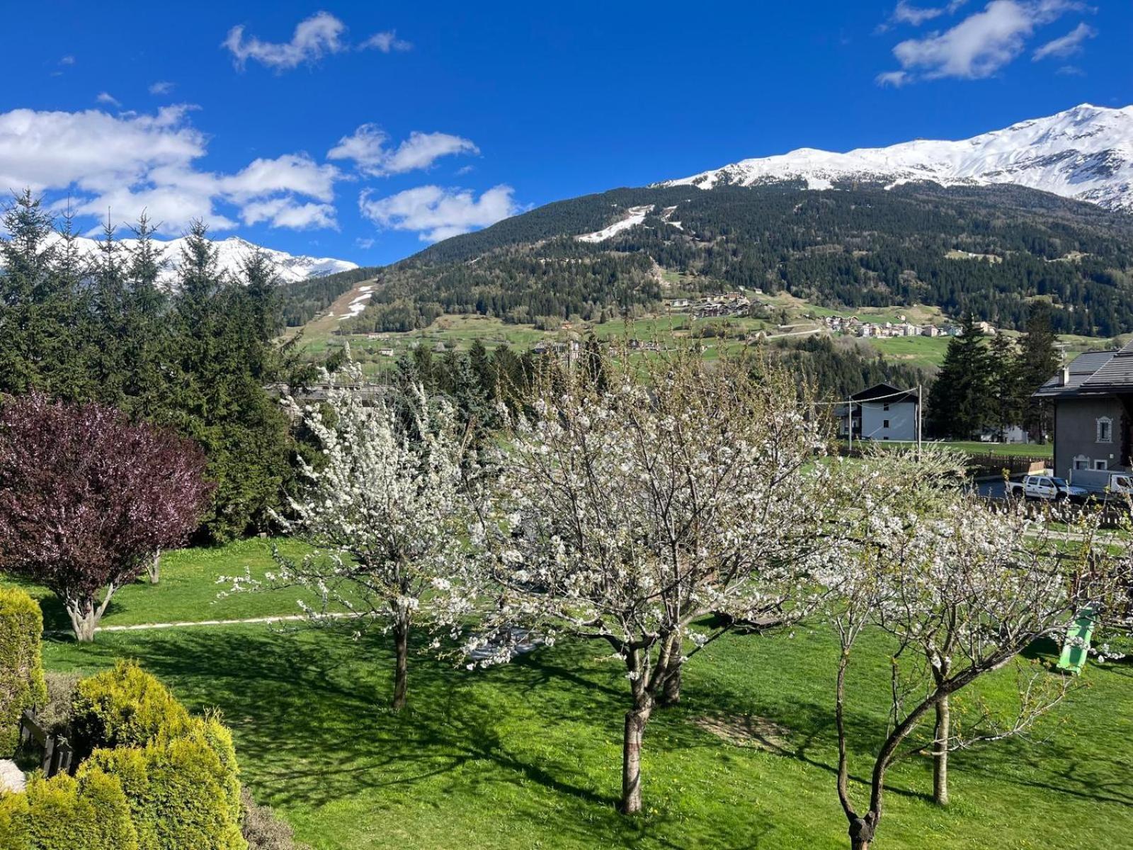 Aparthotel Stelle Di Neve